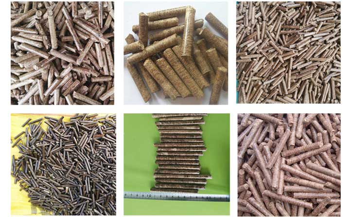 成型顆粒實拍圖 成型顆粒實拍圖