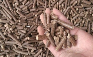 鋸末顆粒機生物質燃料與燃煤對比情況如何？