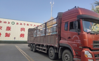 忙碌的五月，忙碌的發貨，金格瑞顆粒機生產線發往全國各地